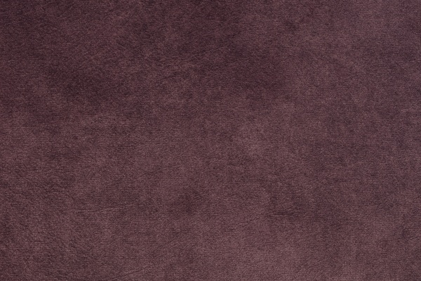 AUBERGINE