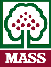 mass.png (6 KB)